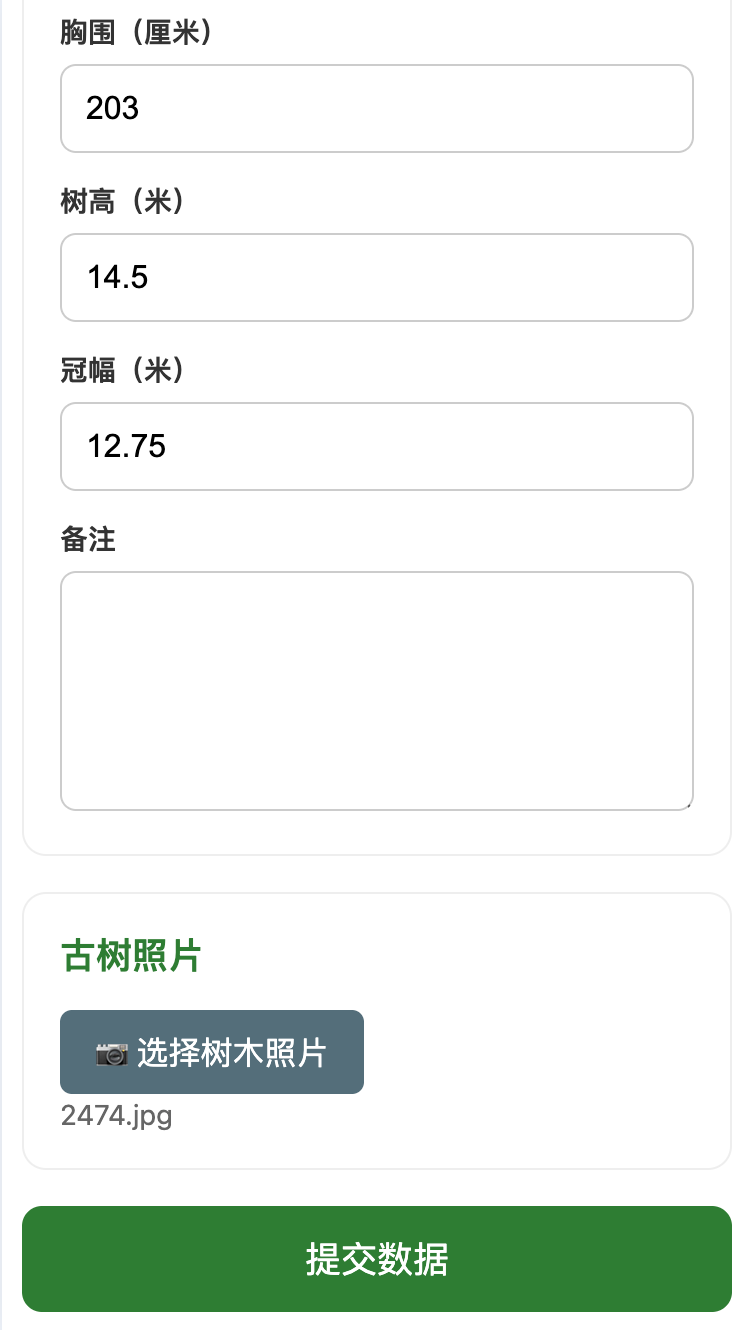 提交